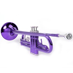 Bb Trompete Mundstück Zubehör, purpur, aus Kuper, mit Koffer, Anfänger