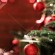 Weihnachtsbaum dekorieren mit Lichterkette– Tipps und Ideen