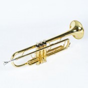 Trompete (1)